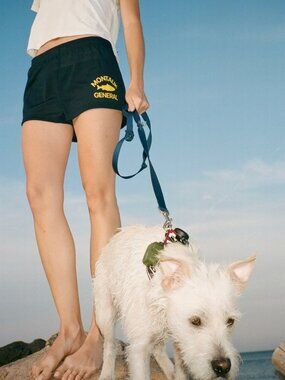 Montauk General Store Micro Shorts